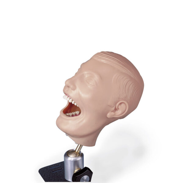 Manequim dentário