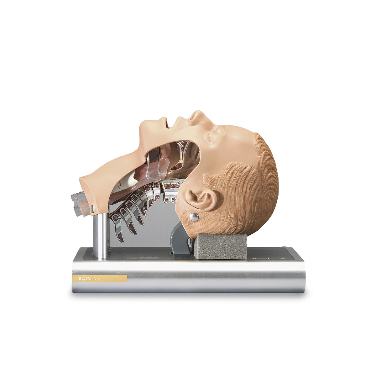 Instrutor de Intubação AMBU [SKU: SB32893]