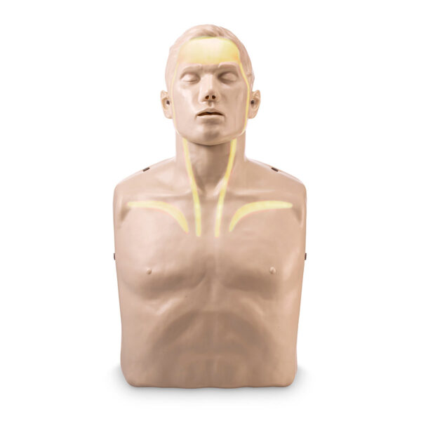 Manequim de treinamento de RCP Brayden com luzes indicadoras brancas [SKU: SB50941]