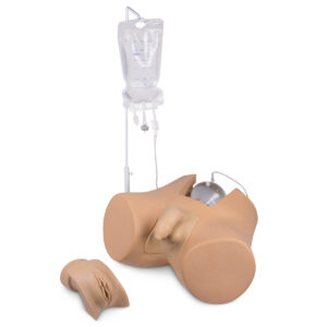 Treinador de cateterismo com inserto genital masculino “Henri” e inserto genital feminino “Florence” [SKU: SB53193]