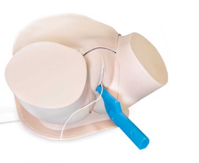 SonoHysteroSim, sem monitor/sem PC [SKU: SHSNMNPC]